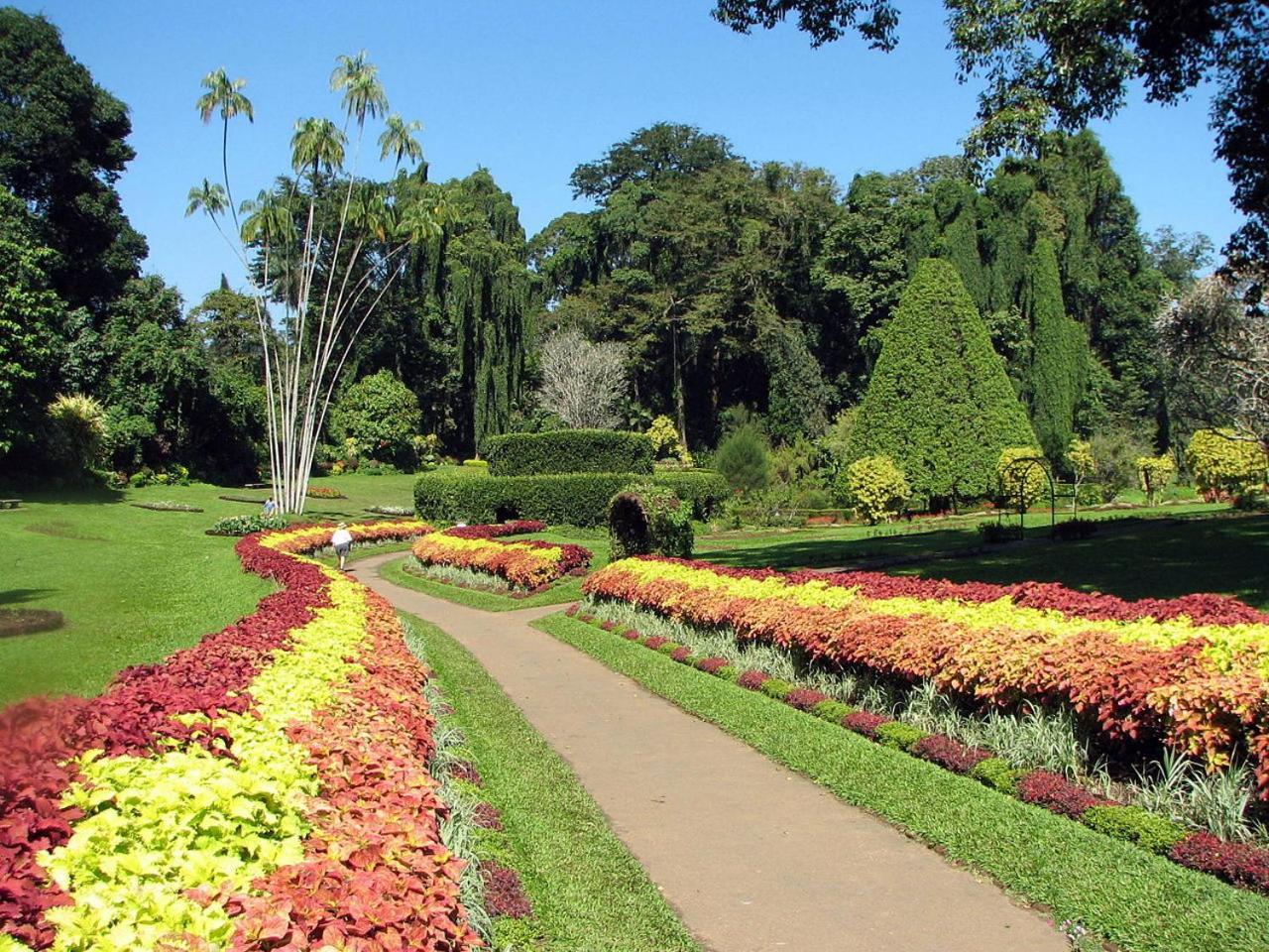 Kandy View Garden Hotel Buitenkant foto